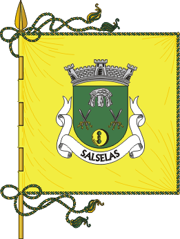 Salselas (Macedo de Cavaleiros)
