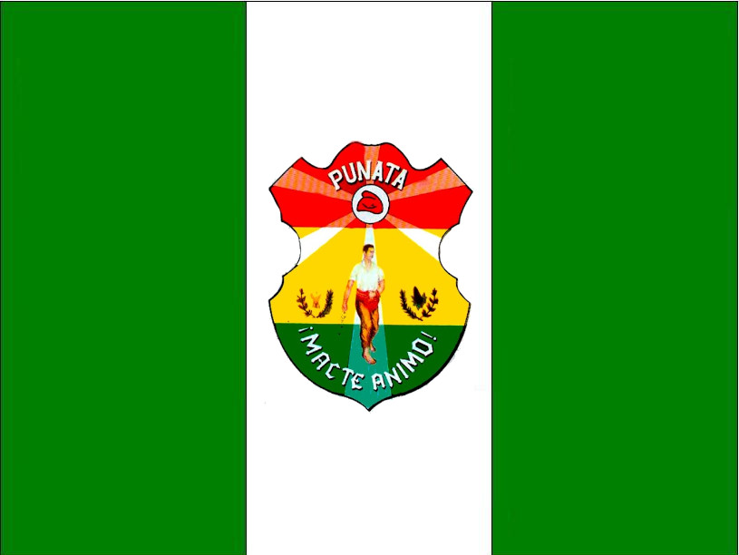 Punata