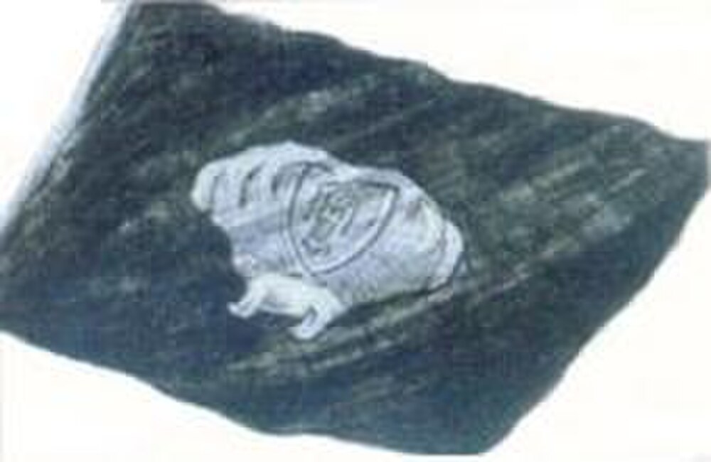 Wuchang State Superior Normal Institute