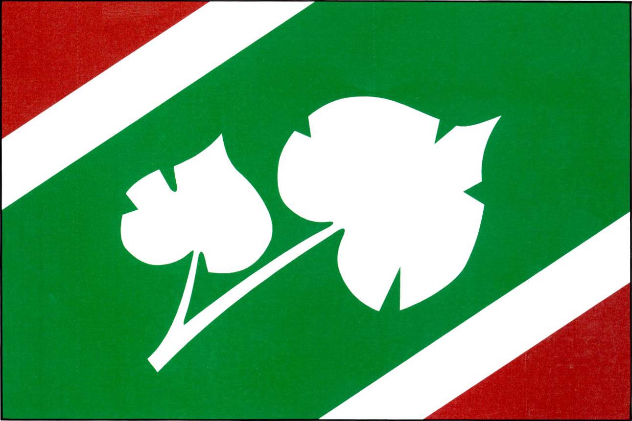 Tatobity
