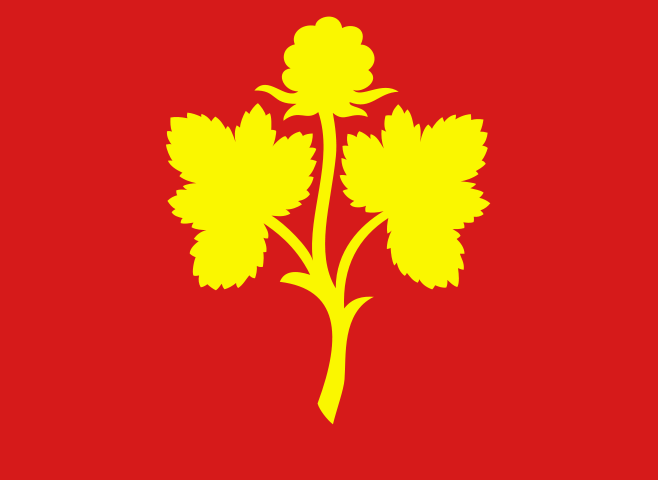 Nesseby