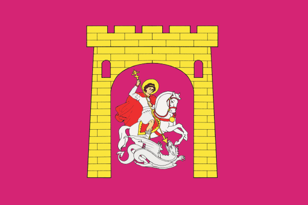 Georgijevský rajón