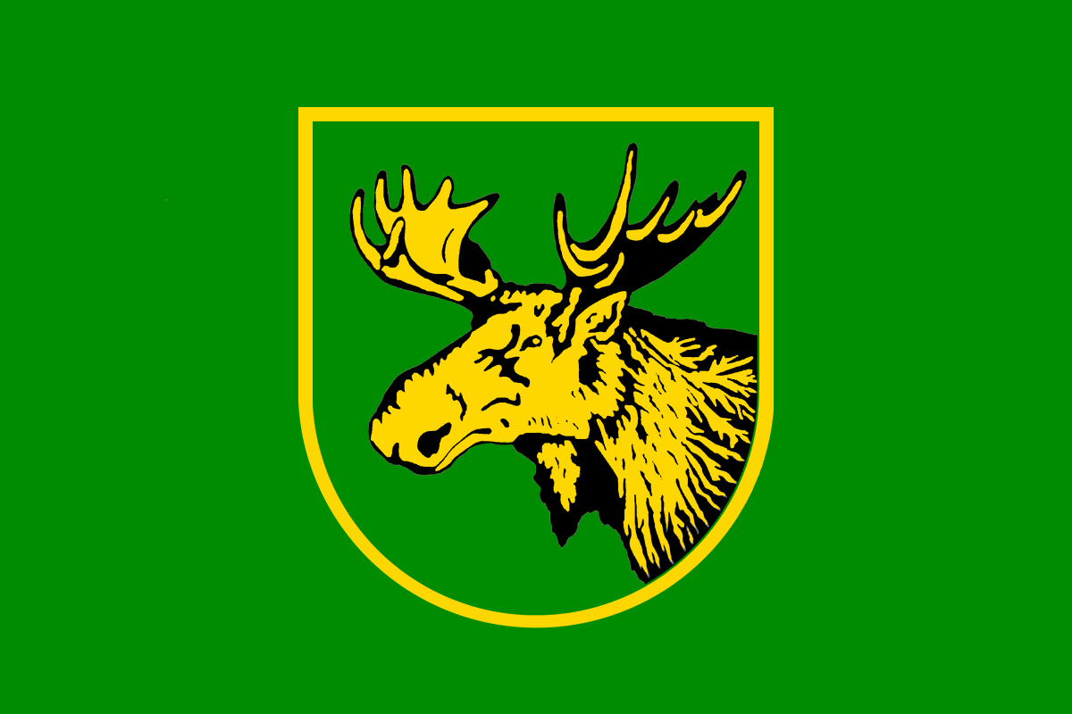 Slavský rajón