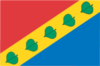 Bezirk Zyuzino
