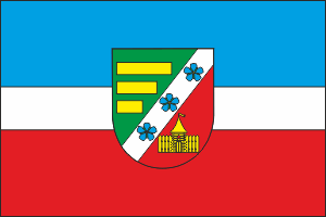 Brusyliv Raion