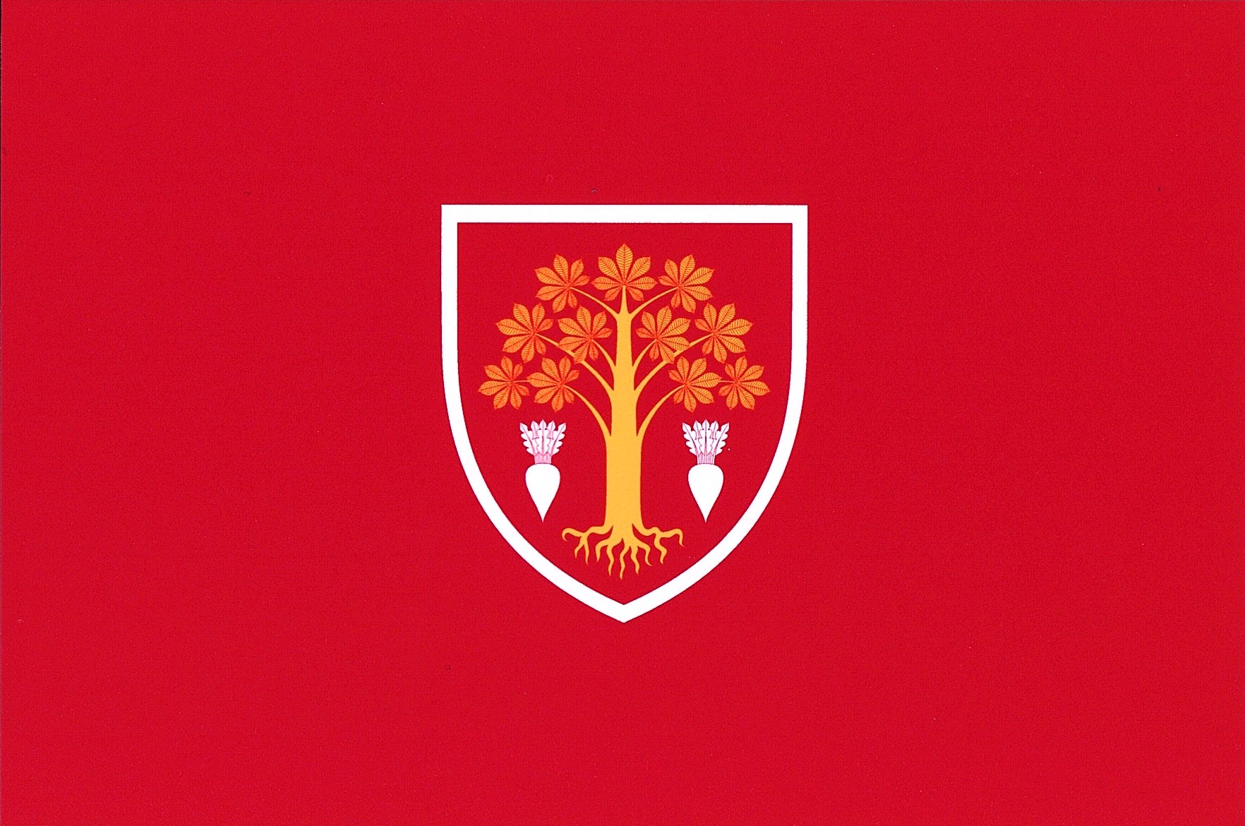 Biruința