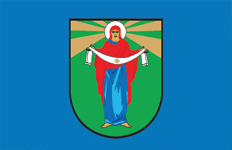 Rajon Mlyniw