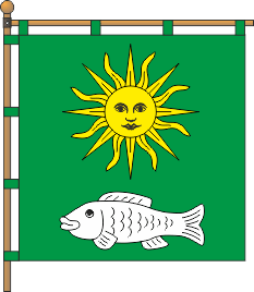 Ploské