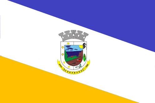 Derrubadas