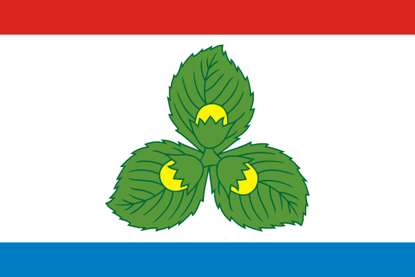 Krasnoznamenský rajón