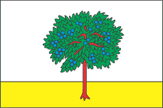 Bohoduchiv